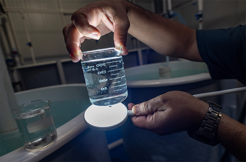 Santomar® conmemora el Día Mundial del Agua reforzando su compromiso con la producción marina responsable Santomar Dia Mundal Agua 2