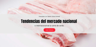 Tendencias del mercado nacional e internacional de la carne de cerdo