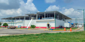 Con 75% de avance la Planta que producirá moscas estériles para erradicar el gusano barrenador del ganado