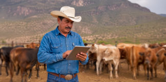 AGRICULTURA e IICA fortalecen cooperación para impulsar la soberanía alimentaria y la sanidad agropecuaria en México