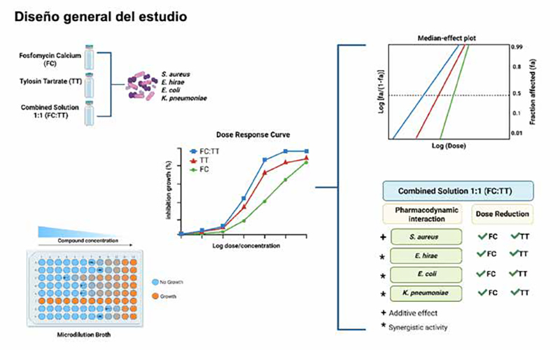 Combinaciones antibióticas sinérgicas Combinaciones antibioticas sinergicas1