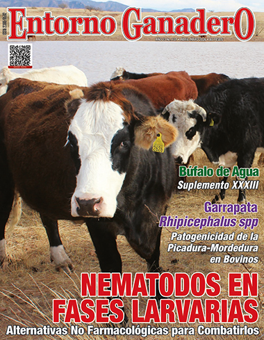 Eventos EG 2 ABR MAY 26 1
