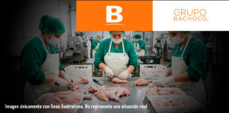Grupo Bachoco se coloca en el lugar 17 del ranking Mexico’s Best Employers 2026 de Forbes y Statista