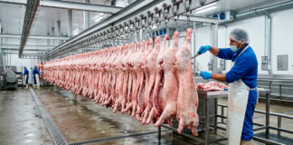 Grupo Bachoco realiza su primera exportación de carne de cerdo a Costa de Marfil