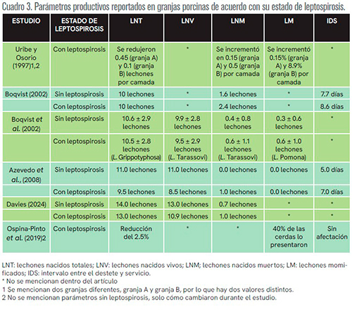 Leptospirosis porcina: manifestaciones clínicas e impacto productivo. Leptospirosis porcina manifestaciones clinicas impacto productivo c3