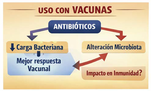 Lincomicina + Gentamicina Lincomicina Gentamicina seccion avilab 2