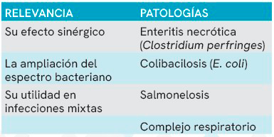 Lincomicina + Gentamicina Lincomicina Gentamicina seccion avilab 3a