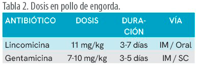 Lincomicina + Gentamicina Lincomicina Gentamicina seccion avilab 5