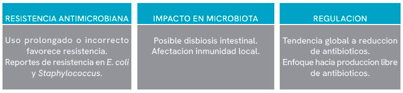Lincomicina + Gentamicina Lincomicina Gentamicina seccion avilab 9