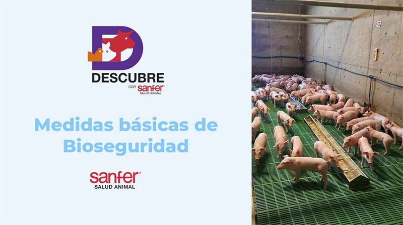 Medidas básicas de bioseguridad en granjas porcinas Medidas basicas bioseguridad granjas porcinas2