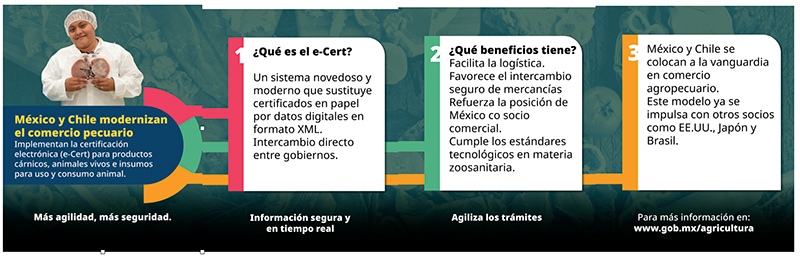 México y Chile implementan certificación electrónica para productos cárnicos Mexico Chile implementan certificacion electronica productos carnicos1