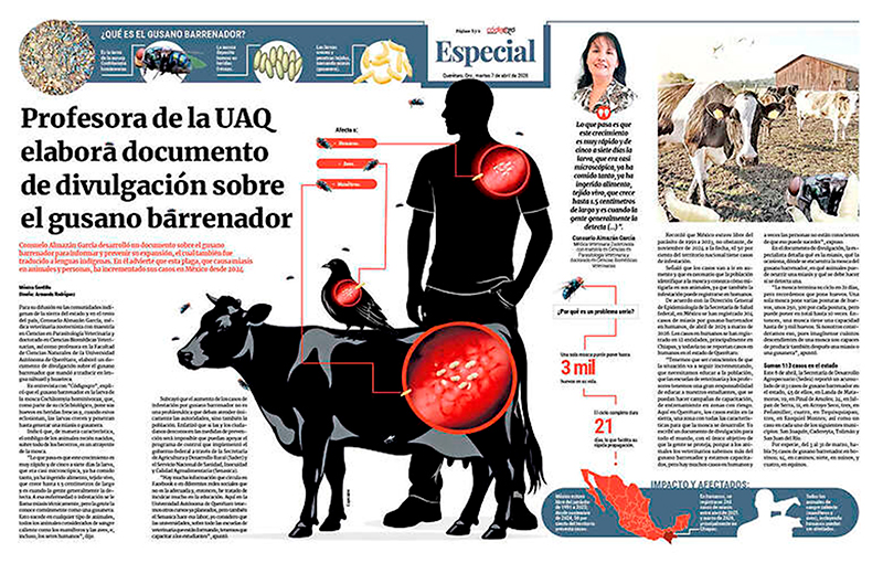 Profesora de la UAQ elabora documento de divulgación sobre el gusano barrenador Profesora UAQ elabora documento divulgacion gusano barrenador 1