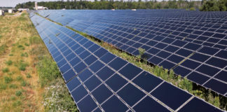 La Alianza Agrivoltaica Latinoamericana presenta su primer reporte para fortalecer la seguridad alimentaria y energética