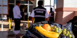 Red de inspección de Senasica impide entrada de 743 productos portadores de plagas a México