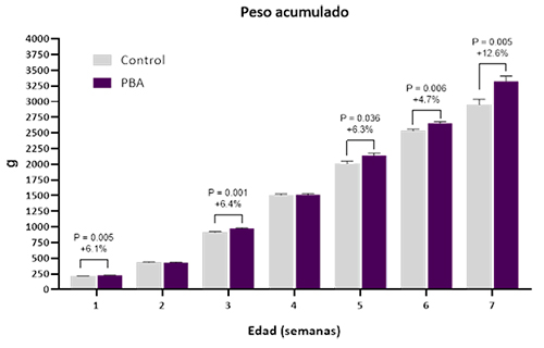 La nueva generación de probióticos solubles de uso en el agua para optimizar la salud intestinal en aves probioticos solubles uso agua optimizar salud intestinal aves1