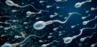 Uso de semen congelado de garañón