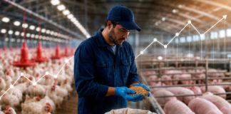 Impacto de la inflación en su negocio – INPC 1ª quincena mayo 2026