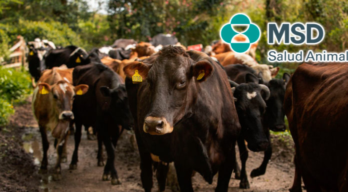 MSD Salud Animal impulsa soluciones integrales para erradicar el GBG