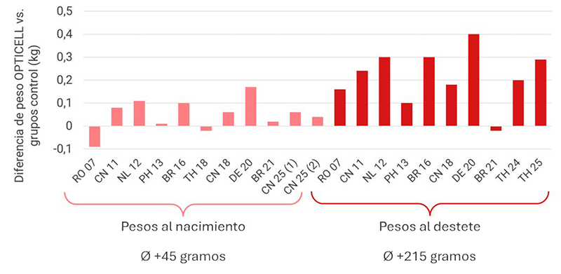 Más allá del alimento Mas alla del alimento 3