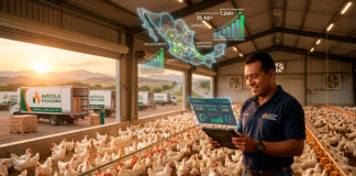 Panorama de la industria de la carne de ave en México