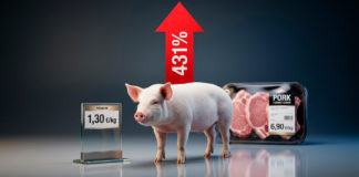 Porcicultores en números rojos: el kilo se paga un 28,9% menos mientras el supermercado lo vende a máximo histórico
