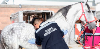 Refrenda OMSA a México entre los 10 países con mejor estatus zoosanitario del mundo