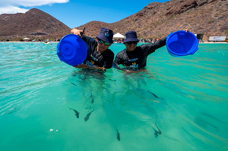Santomar® destaca la importancia de proteger los ecosistemas marinos a través de la acuacultura regenerativa Santomar Dia Internacional Diversidad Biologica 1