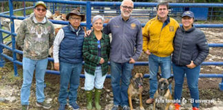 La UNAM ofrece esperanza con perros biodetectores contra gusano barrenador