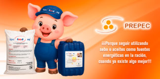 ¡Las calorías cada día cuestan más!