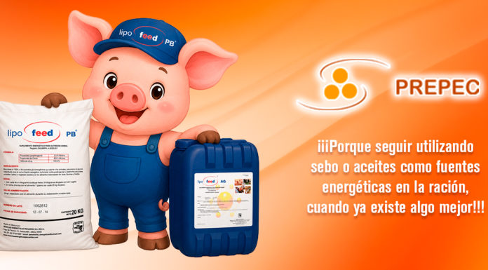 ¡Las calorías cada día cuestan más!