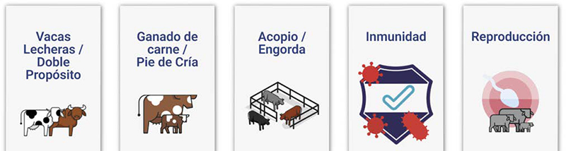 Papel de los minerales traza (Cu, Se, Mg, Zn) en salud y productividad ganadera papel oligoelementos minerales traza 2
