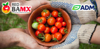ADM refuerza el rescate de alimentos con BAMX