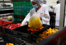 AGRICULTURA se une a los esfuerzos del Día Mundial de la Inocuidad de los Alimentos 2026