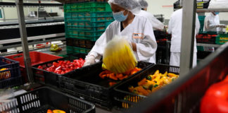 AGRICULTURA se une a los esfuerzos del Día Mundial de la Inocuidad de los Alimentos 2026