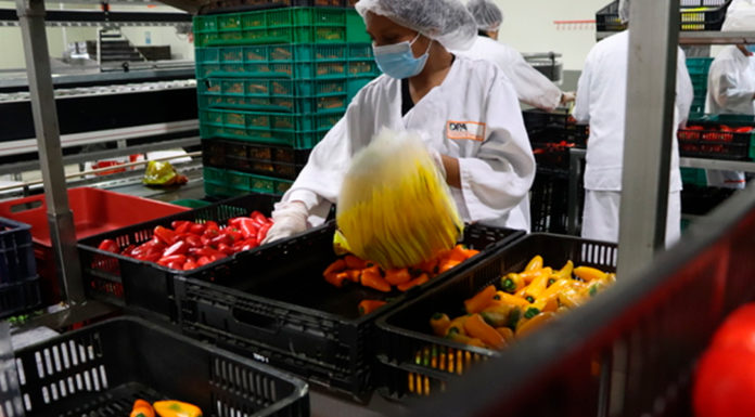 AGRICULTURA se une a los esfuerzos del Día Mundial de la Inocuidad de los Alimentos 2026