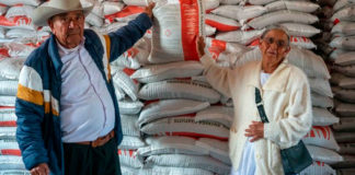 AGRICULTURA lleva fertilizantes a más de 1.7 millones de productoras y productores de todo el país
