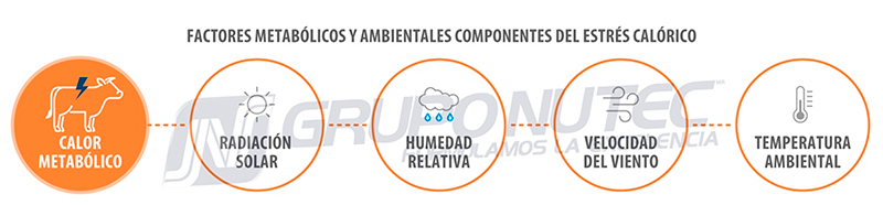 Efecto del estrés calórico durante el crecimiento y finalización de bovinos en engorda Efecto estres calorico durante crecimiento finalizacion bovinos engorda 1