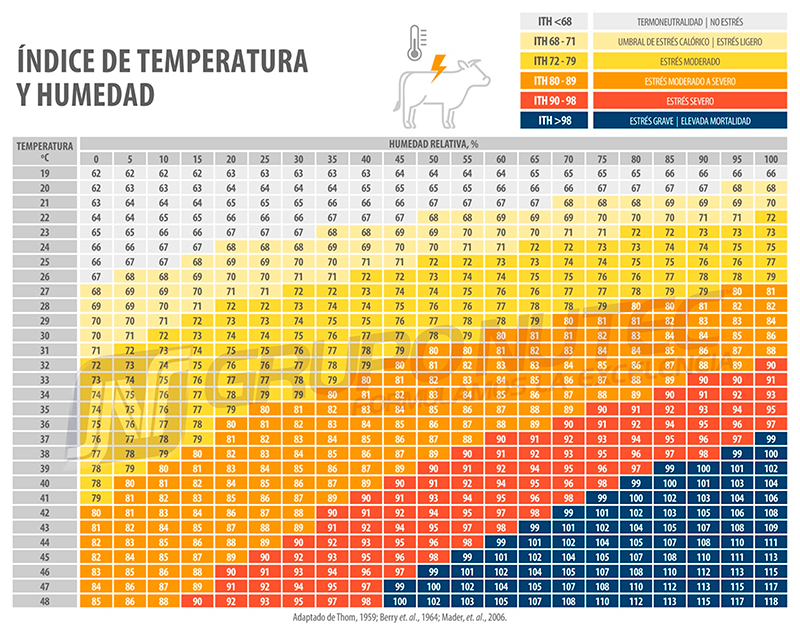 Efecto del estrés calórico durante el crecimiento y finalización de bovinos en engorda Efecto estres calorico durante crecimiento finalizacion bovinos engorda 2