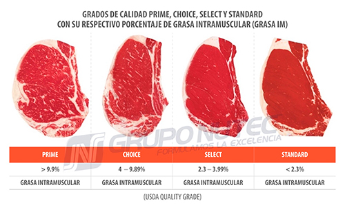Efecto del estrés calórico durante el crecimiento y finalización de bovinos en engorda Efecto estres calorico durante crecimiento finalizacion bovinos engorda 6