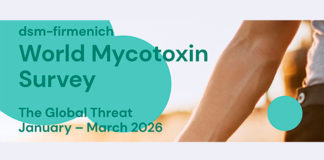 Encuesta Mundial sobre Micotoxinas (enero-marzo 2026)