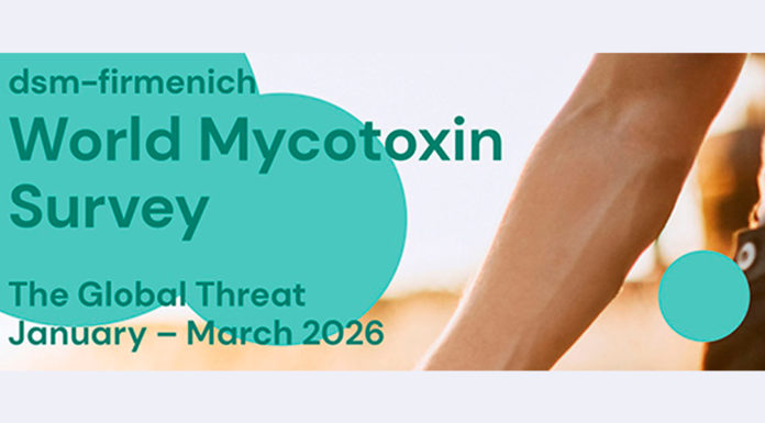 Encuesta Mundial sobre Micotoxinas (enero-marzo 2026)