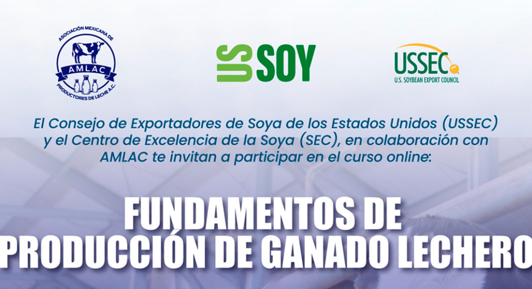“Fundamentos de Producción de Ganado Lechero”, Curso online gratuito