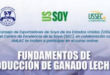 “Fundamentos de Producción de Ganado Lechero”, Curso online gratuito
