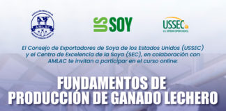 “Fundamentos de Producción de Ganado Lechero”, Curso online gratuito