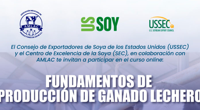 “Fundamentos de Producción de Ganado Lechero”, Curso online gratuito