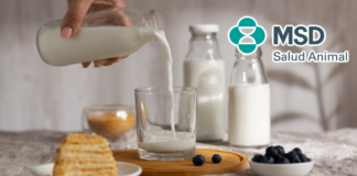 México mantiene autosuficiencia de 77% en leche bovina, pero aún depende de las importaciones