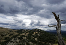 El Niño impactará en la producción de alimentos de México