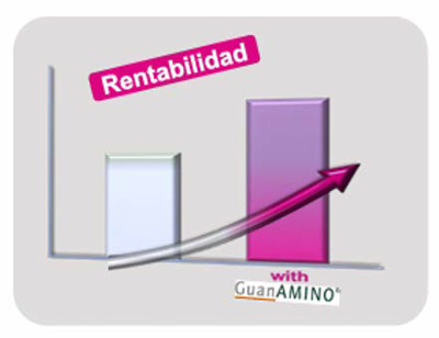 El Papel del Ácido Guanidinoacético (AGA) en la Finalización de Cerdos: Pequeños Cambios,Grandes Resultados. Papel acido Guanidinoacetico Finalizacion Cerdos Grandes Resultados 1