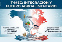 Productores agrícolas y cárnicos piden renovar el T-MEC por 16 años para evitar alzas en alimentos