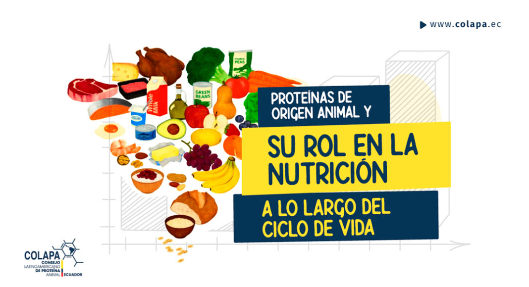 Proteínas de origen animal y su rol en la nutrición a lo largo del ciclo de vida
